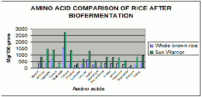 Amino Acid Comparison of Rice