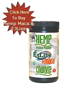 Buy Hemp Protein Powder